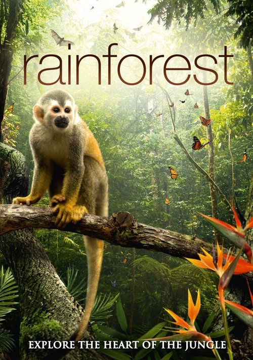 Secret Life of the Rainforest poster