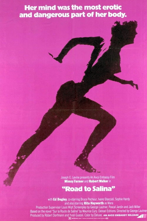 Road to Salina poster