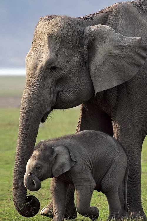 Season 1 (2010) - Season 1 poster and promotional image