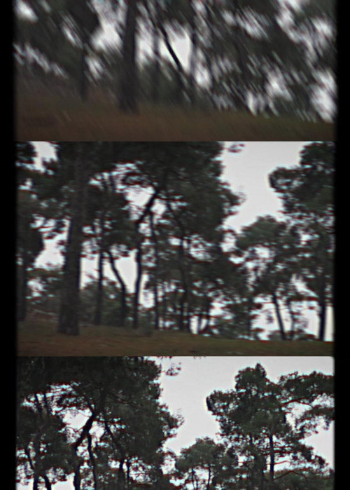 Çok Çekim Ölüler