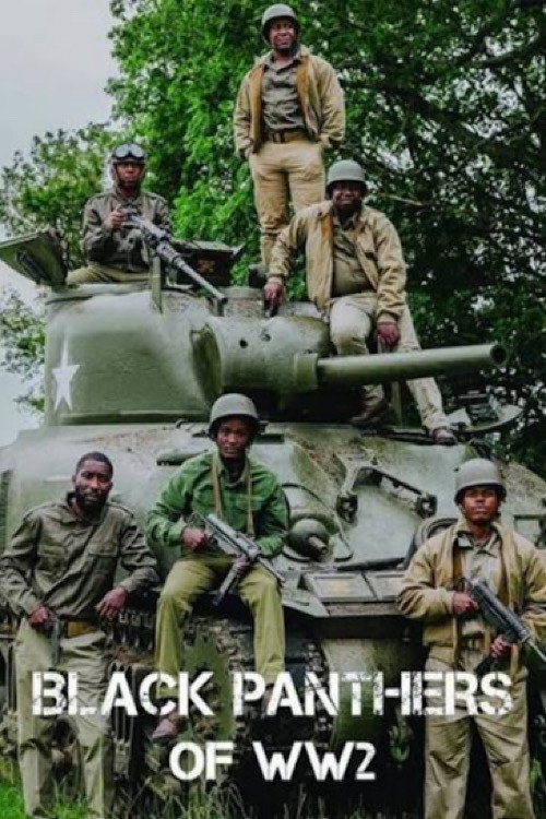 Black Panthers of WW2