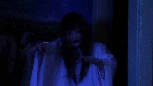The Light of the Shadows still
