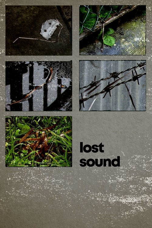 Lost Sound ( Lost Sound )