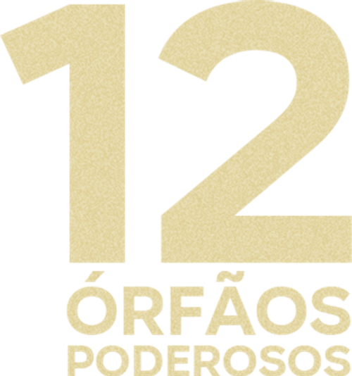 12 Órfãos Poderosos