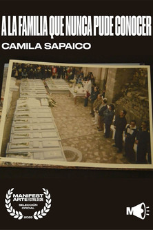 A la familia que nunca pude conocer poster