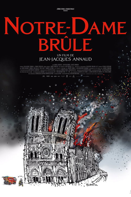 Notre-Dame on Fire poster