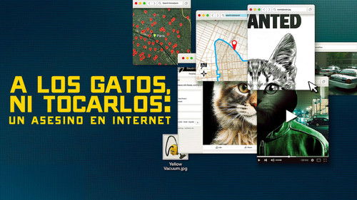 Escena 5 de A los gatos ni tocarlos: Un asesino en Internet