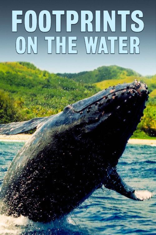 Footprints on the Water