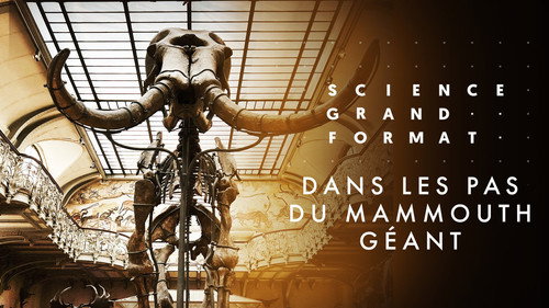 Image Dans les pas du mammouth géant