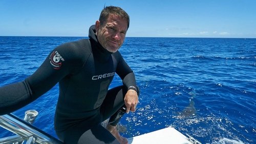 Sharks of the Atlantic Ocean Still