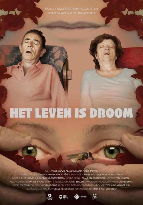 Poster Het leven is droom 2020