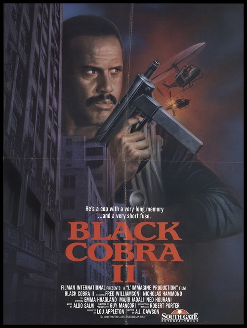 Where to stream The Black Cobra 2