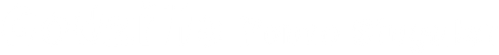 Godzilla Ponto Singular - Logo 5