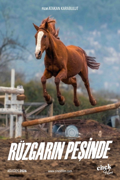 Rüzgarın Peşinde