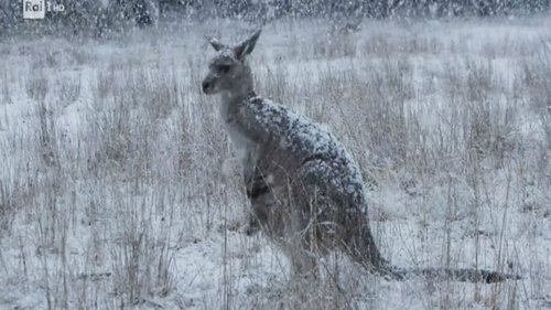 Image de l'épisode 4