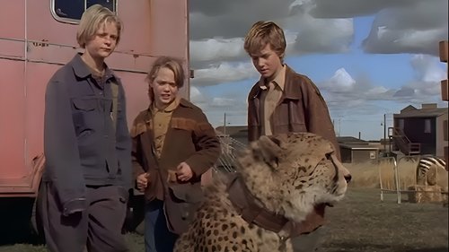 Épisode 11