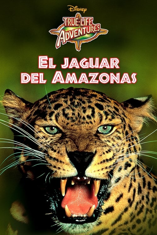 Jungle Cat poster