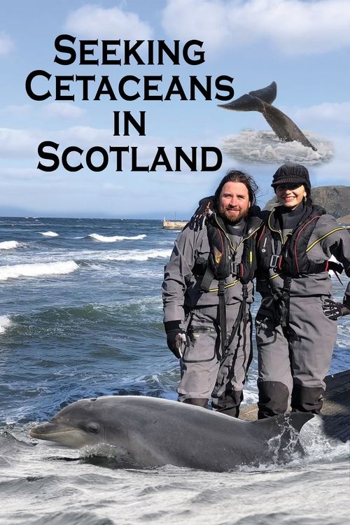 Seeking Cetaceans in Scotland poster