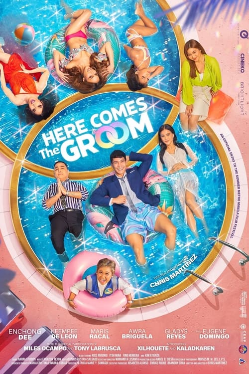 Here Comes the Groom poster