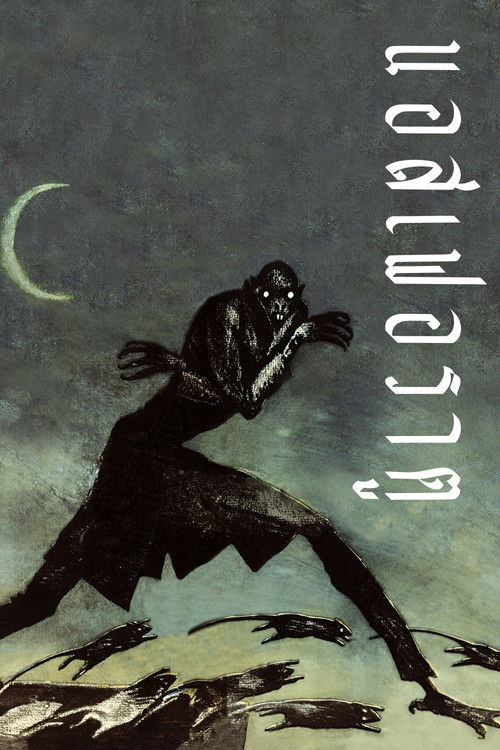 นอสเฟอราตู