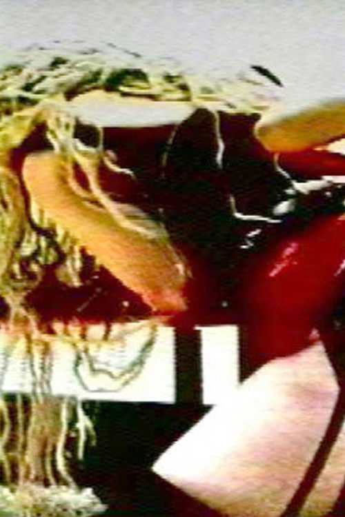 Viva la DifferAnce (1999) poster