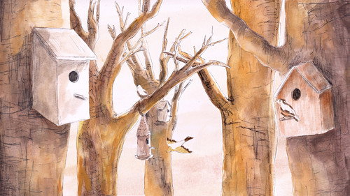 Le chant des oiseaux still