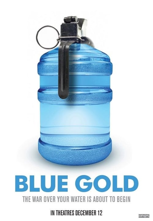 Blue Gold: World Water Wars (2008) poster