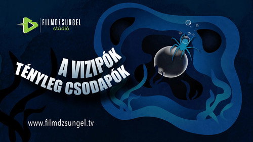 A vízipók tényleg csodapók - Season 1 Backdrop Blur