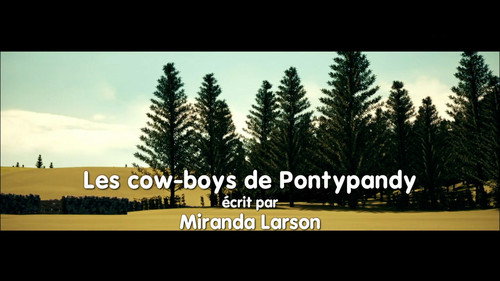 Image Les cow-boys de Pontypandy