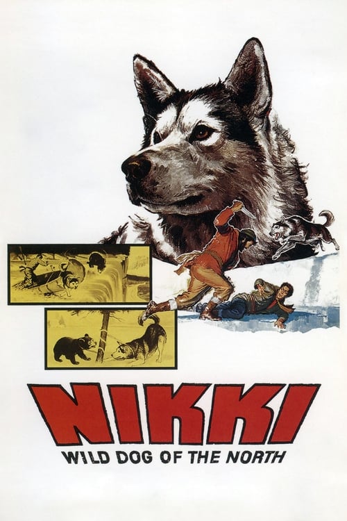 Nikki, Wild Dog of the North 1961