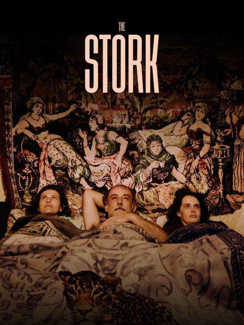 The Stork poster