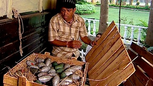 Image de l'épisode 339