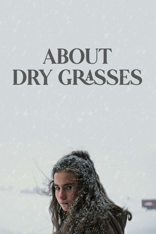 About Dry Grasses poster