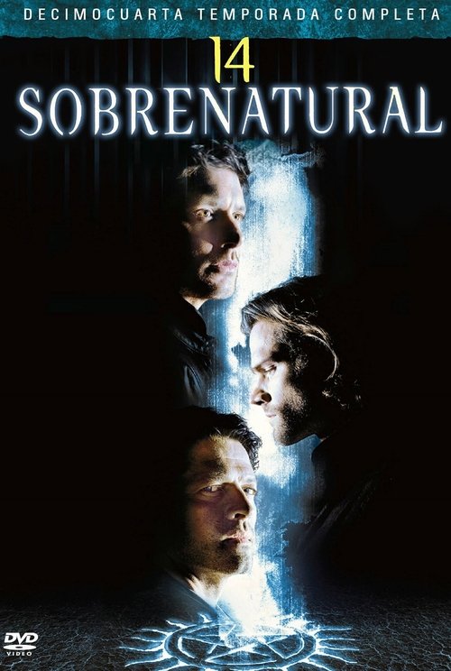 Ver temporada 14 de Sobrenatural Póster de la temporada 14 de la serie Sobrenatural