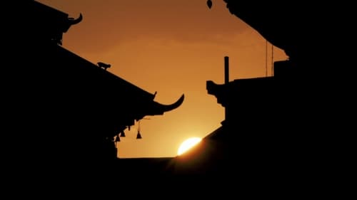Nepal Homebird Backdrop Blur