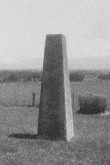 A Place in the Cosmos poster