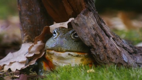 Image de l'épisode 25