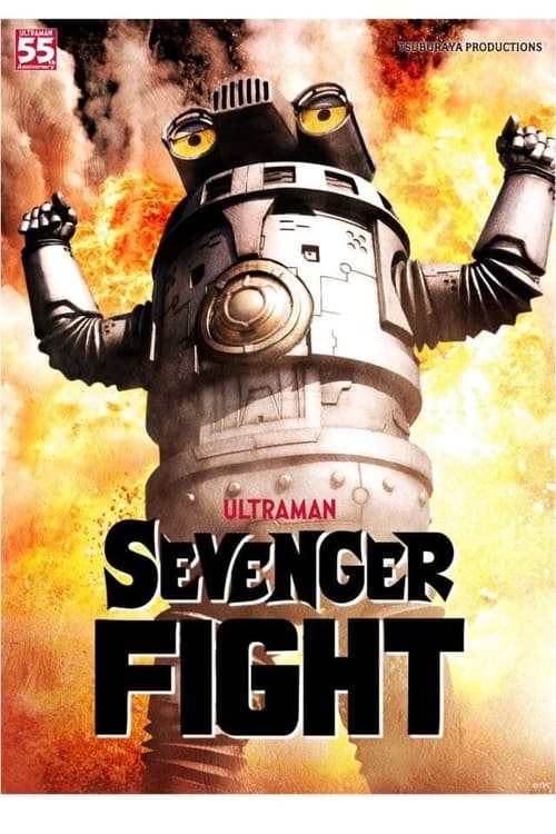 Poster Sevenger Fight