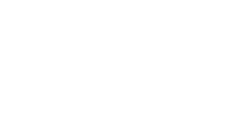 La chica salvaje