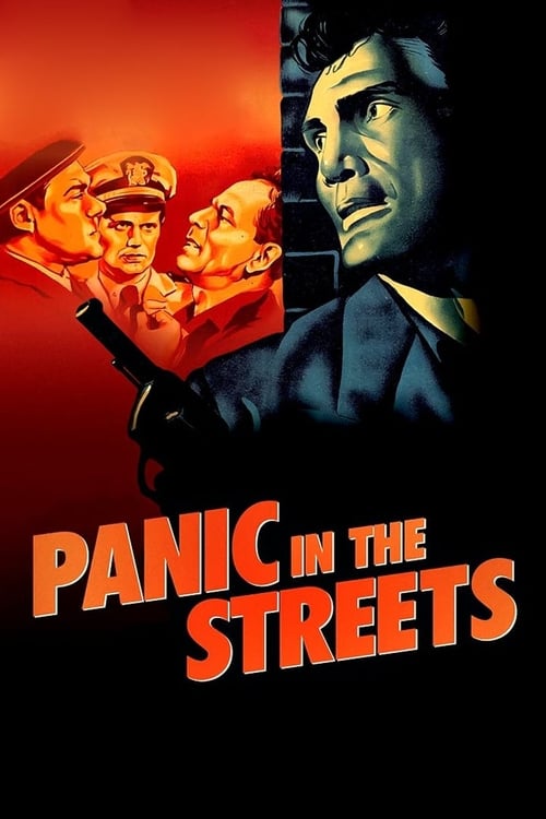 Grootschalige poster van Panic in the Streets