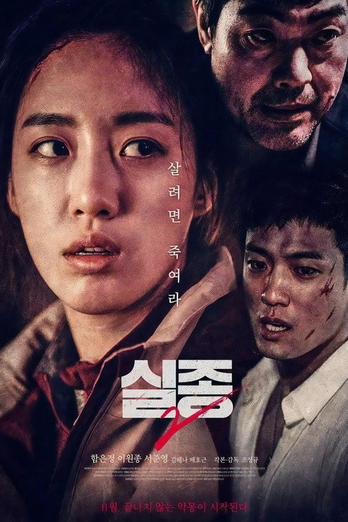 Missing 2 poster