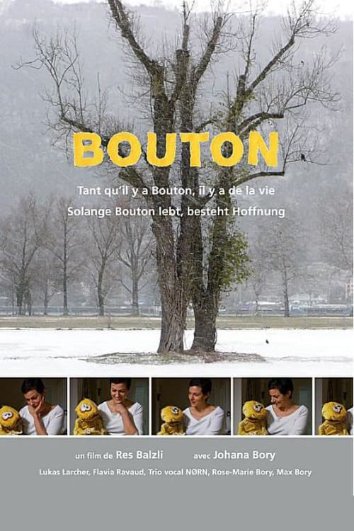 Poster Bouton 2011