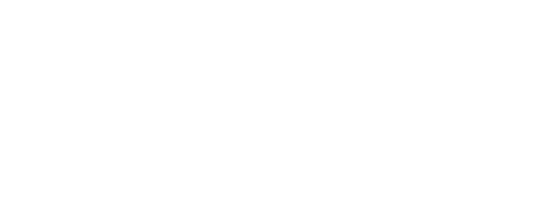 The Adults