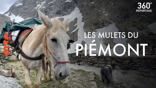 Image de l'épisode 5