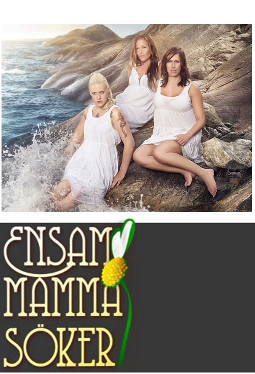 Ensam Mamma Soker (2010) poster