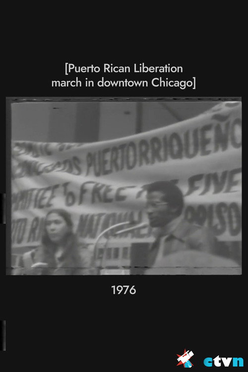 Puerto Rican Liberation march in downtown Chicago