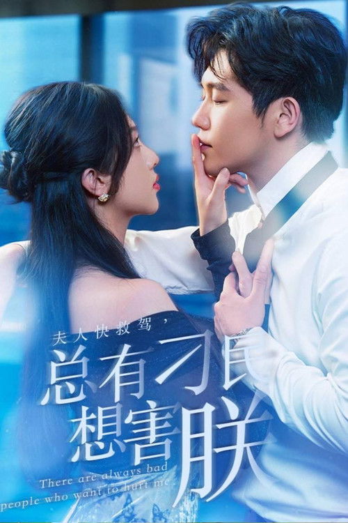 夫人快救驾，总有刁民想害朕