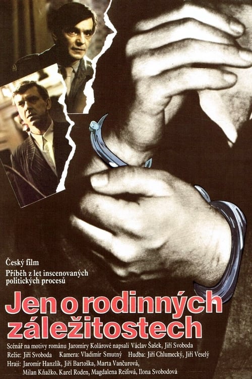 Jen o rodinných záležitostech (1991)