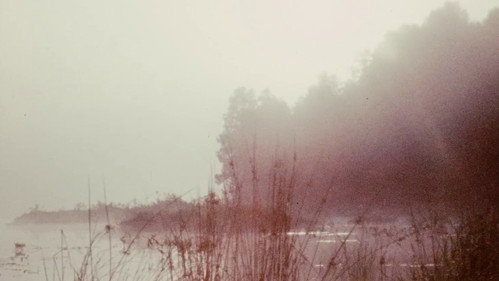 Everything Everywhere Again Alive — Fundos 4