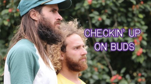 Кадр из Checkin Up On Buds